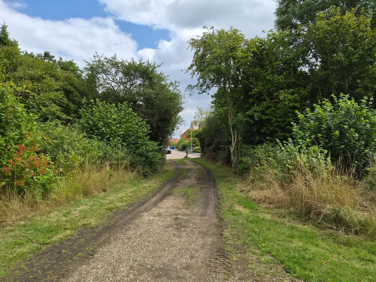 A dirt path leading between two groups of trees