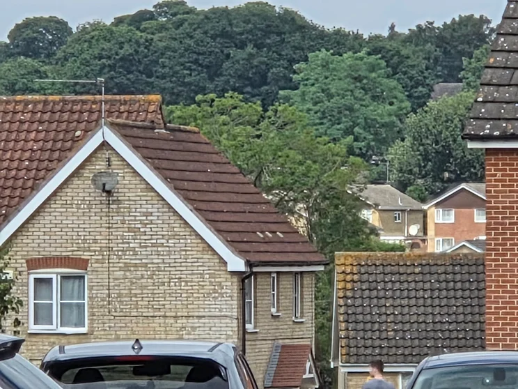 20x zoom of a house's roof with trees in the background