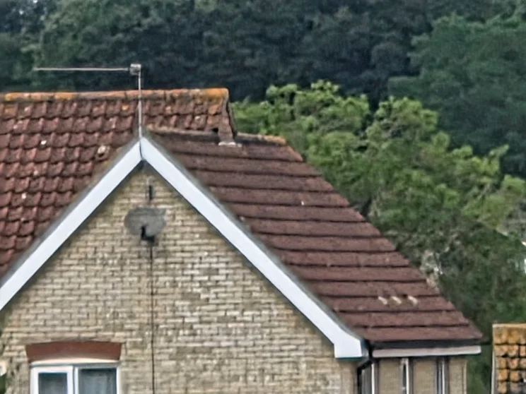30x zoom of a house's roof with trees in the background