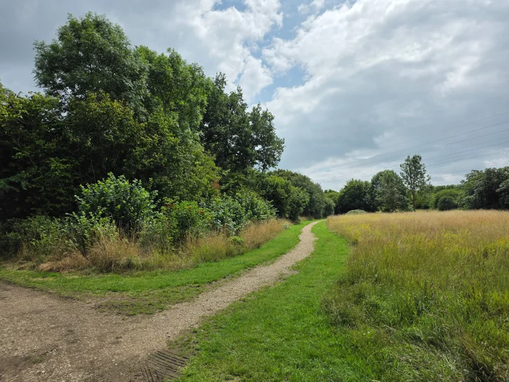 A dirt path leading alongside a meadow with trees on the left