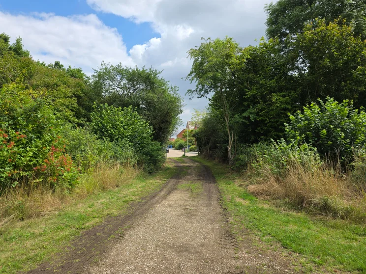 A dirt path leading between two groups of trees