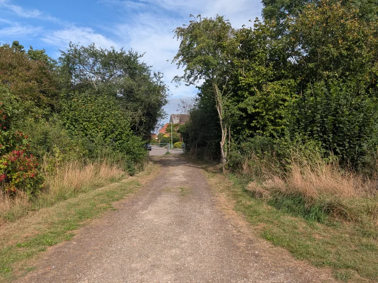 A dirt path leading between two groups of trees