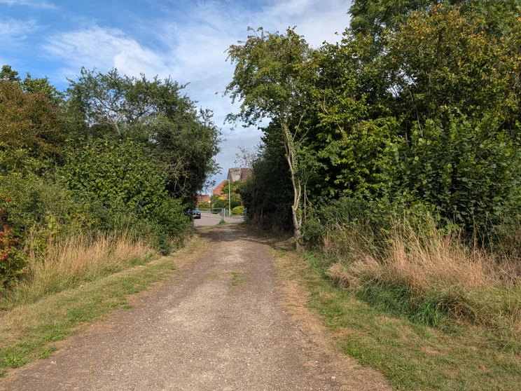 A dirt path leading between two groups of trees