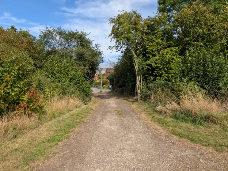 A dirt path leading between two groups of trees