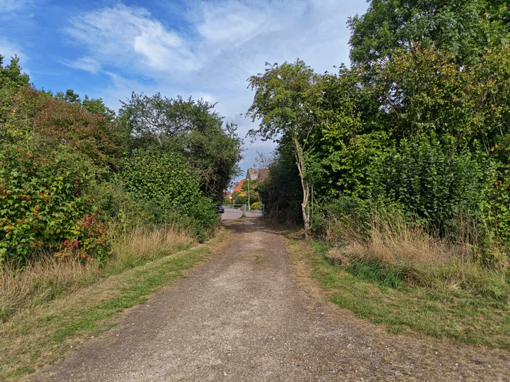 A dirt path leading between two groups of trees