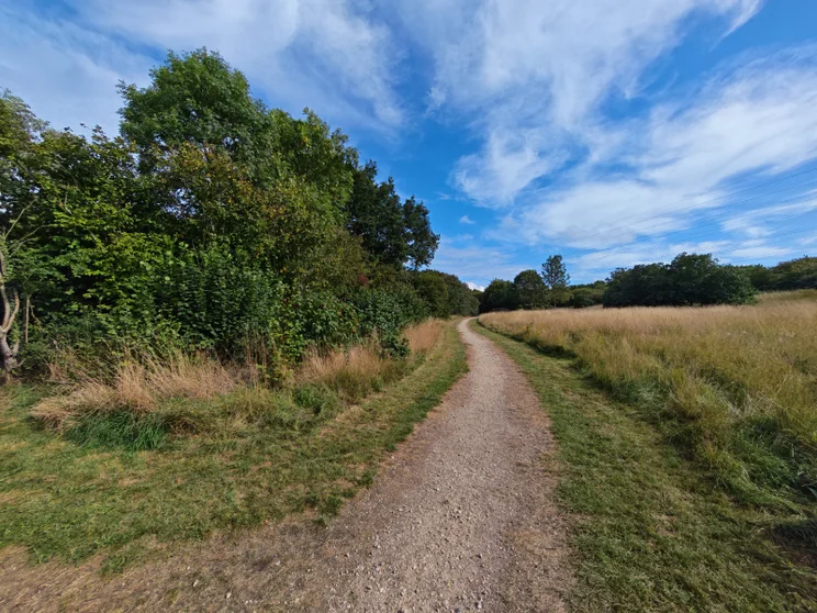 Wide-angle shot of a dirt path leading alongside a meadow