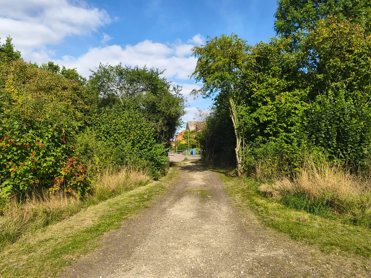 A dirt path leading between two groups of trees