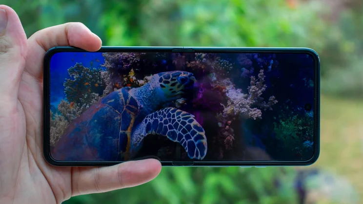 Motorola Razr 60 unfolded in landscape orientation, with a video of a turtle on the screen