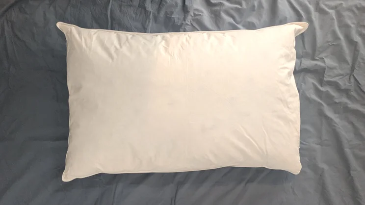 A bird's eye view of the Odd Company Luxury Pillow