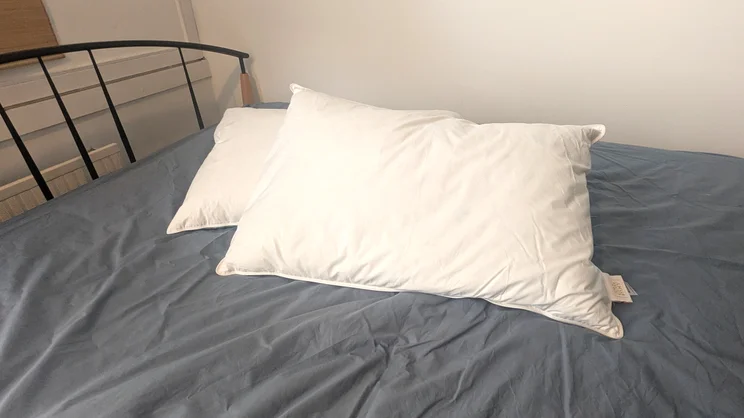 Two Odd Company Luxury Pillows on a mattress