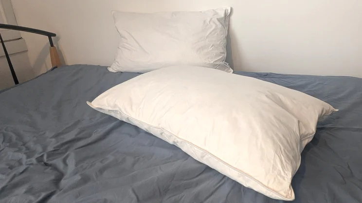 Two Odd Company Luxury Pillows on a mattress