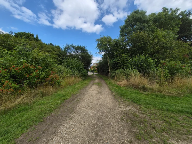 Wide-angle shot of a dirt path leading between two groups of trees