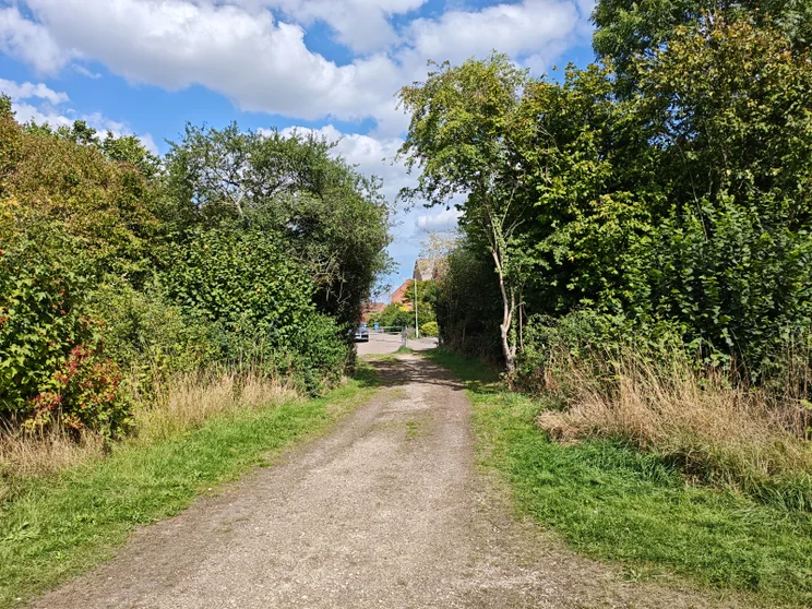 A dirt path leading between two copses of trees