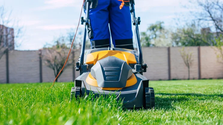 person pushing electric mower across lawn