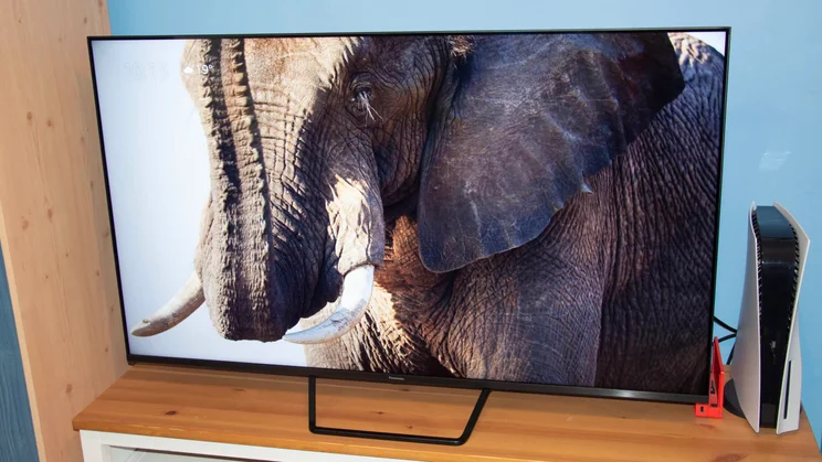 The Panasonic W95B Mini LED TV on a wooden cabinet displaying an image of an elephant