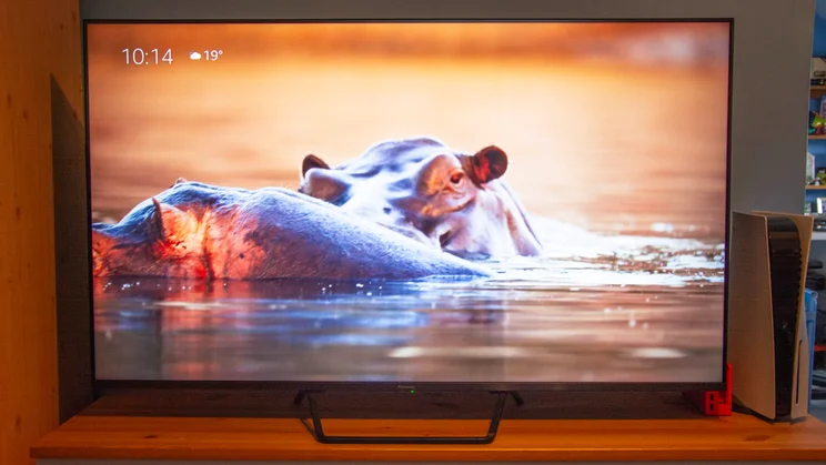 The Panasonic W95B Mini LED TV on a wooden cabinet displaying an image of a hippo half-submerged in water