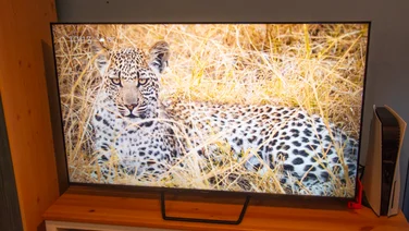 The Panasonic W95B Mini LED TV on a wooden stand displaying an image of a leopard