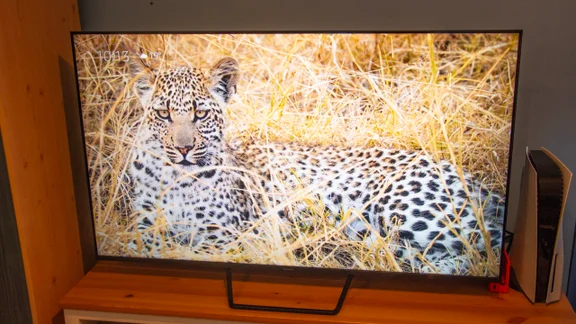 The Panasonic W95B Mini LED TV on a wooden stand displaying an image of a leopard