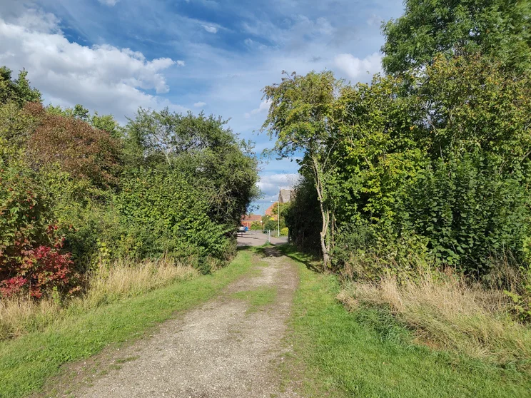 A dirt path leading between two groups of trees