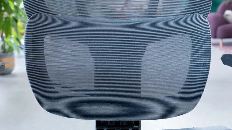 A closeup of the The Flexispot C7 office chair's lumbar support
