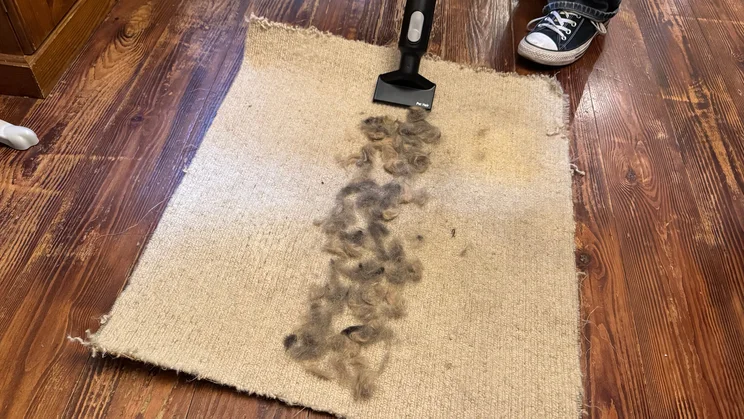 The VAX HomePro Detect Pet-Design vacuum cleaner, with pet hair attachment, cleaning pet hair off carpet