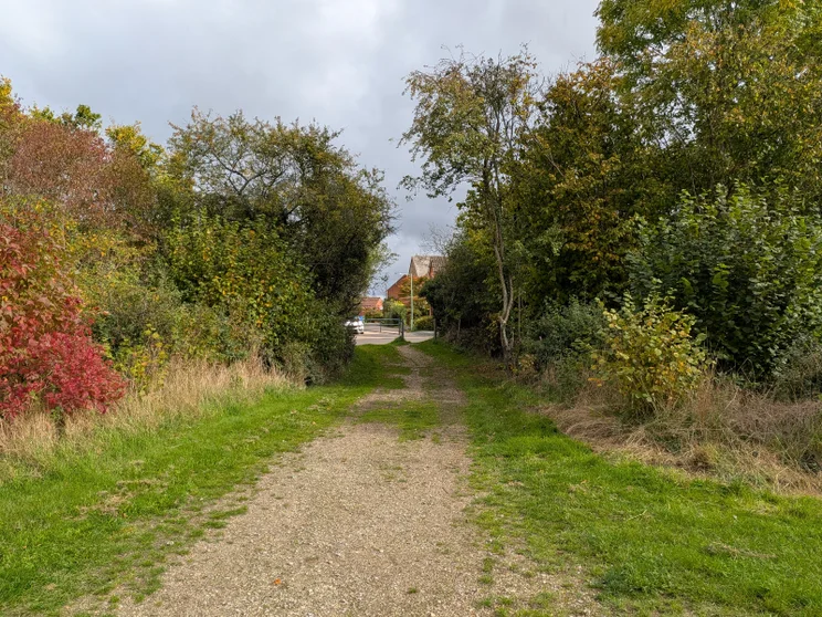 A dirt path leading between two groups of trees