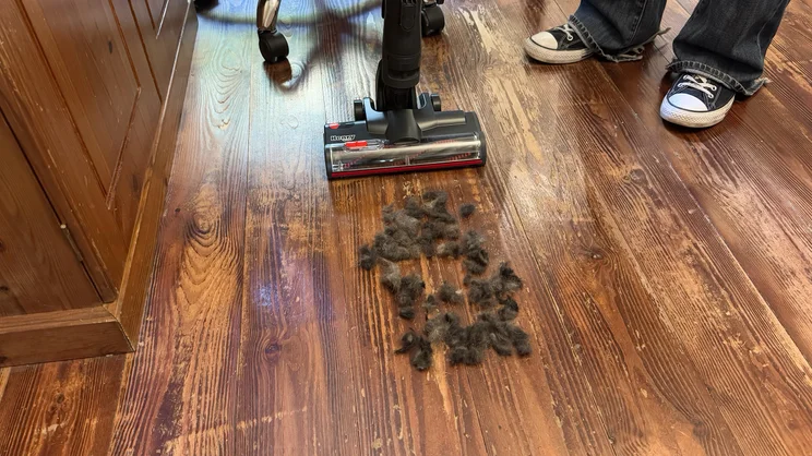 The Henry Quick Corded vacuum cleaner being tested on a hardwood floor to pick up pet hair