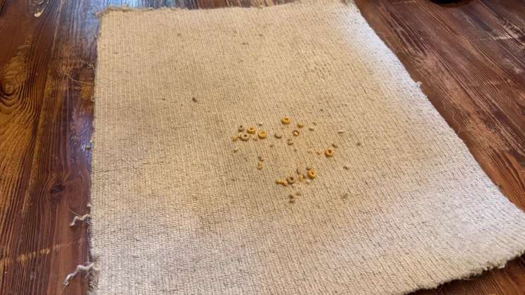 A carpet sample with some scattered Cheerios on it