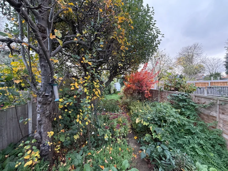 Apple iPhone 17 Pro Max ultrawide camera sample