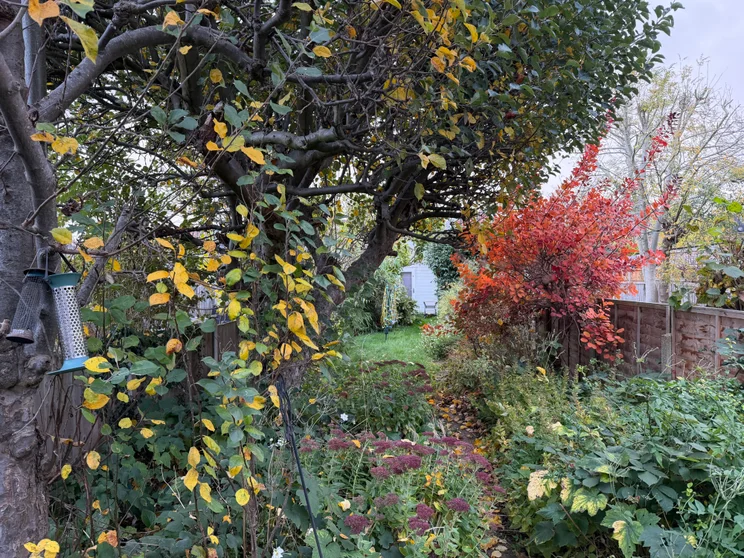 Apple iPhone 17 Pro max main camera sample