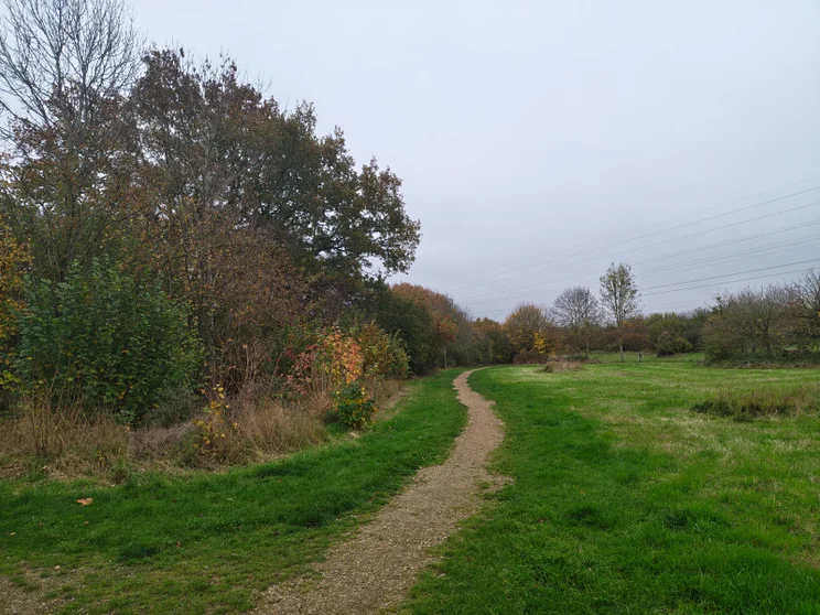 A dirt path leading alongside a meadow