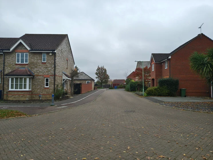 A quiet road with houses on both sides