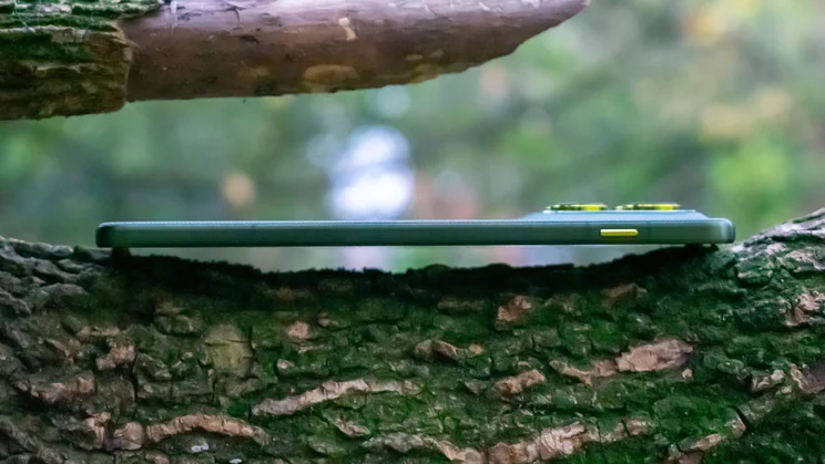Motorola Edge 70 laid flat on a tree branch