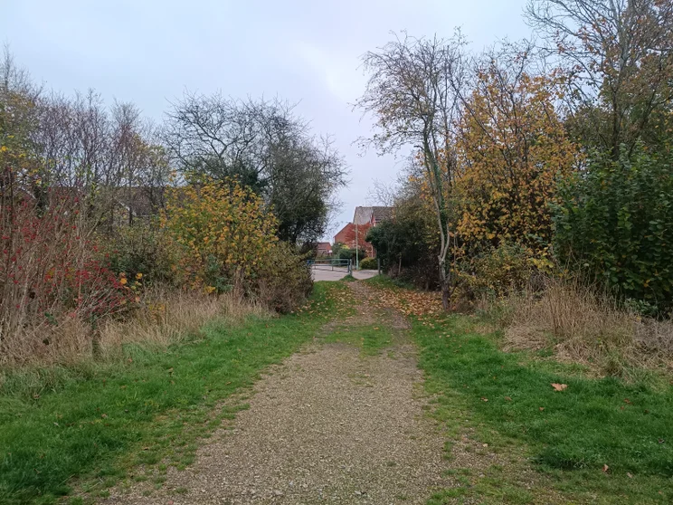 Path leading between two groups of trees