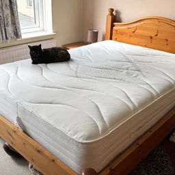Mattress mould: What it is – and how to get rid of it | Expert Reviews