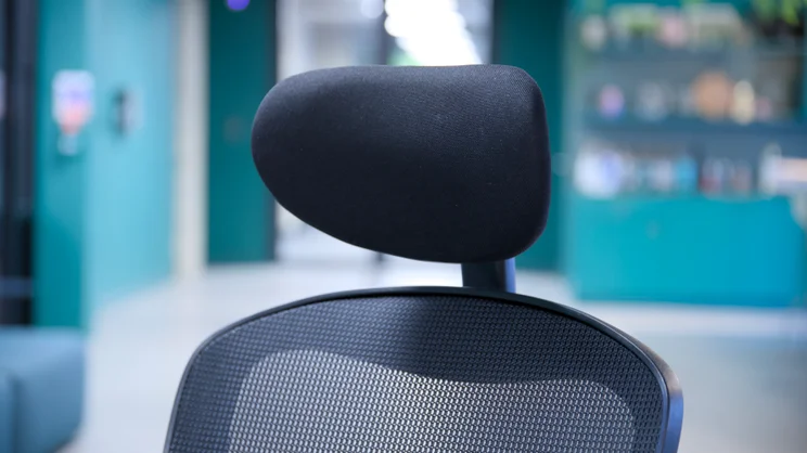 The Boulies OP300 head rest