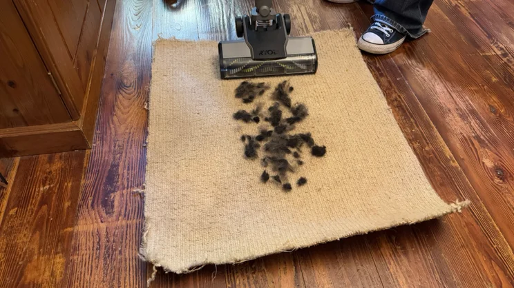 The Ryobi 18V ONE+ Cordless Stick pictured before the pet hair on carpet test