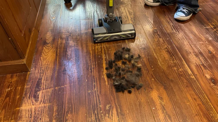 The Ryobi 18V ONE+ Cordless Stick picturted before carrying the pet hair on hard floor test