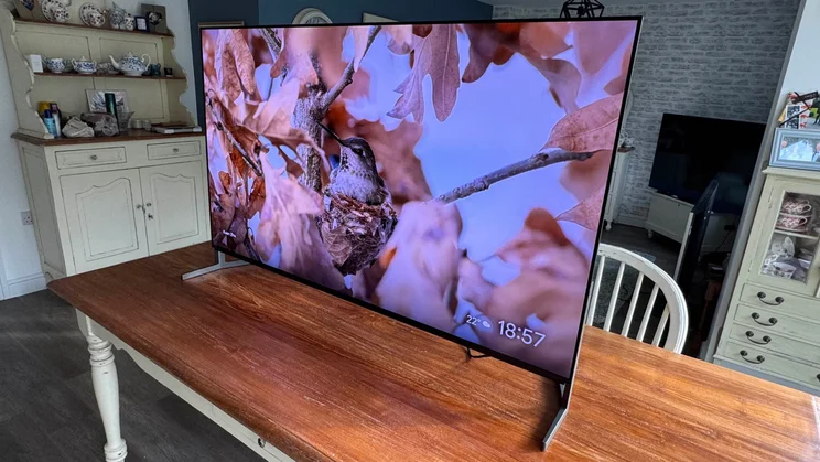 Right view of the Sony Bravia 8 II QD-OLED TV displaying a close-up of flowers