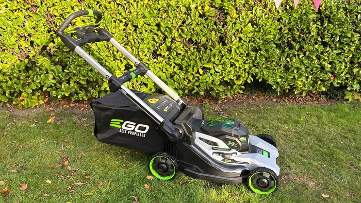 The LM2236E-SP lawn mower on a lawn in front of a hedge