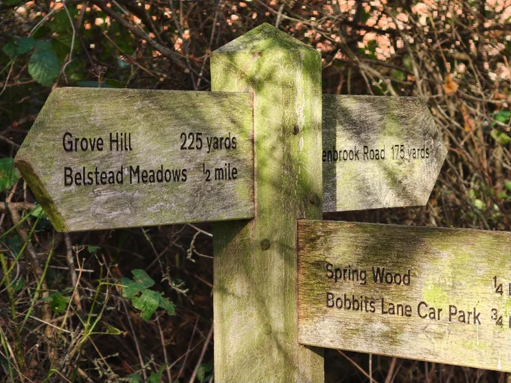 Close up of a wooden signpost