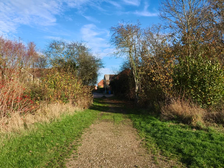 A dirt path leading between two groups of trees