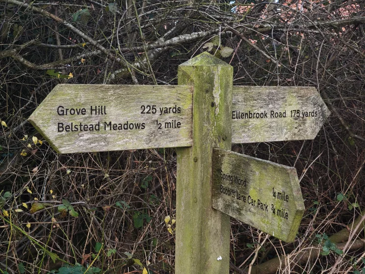 3x telephoto zoom shot of a wooden sign