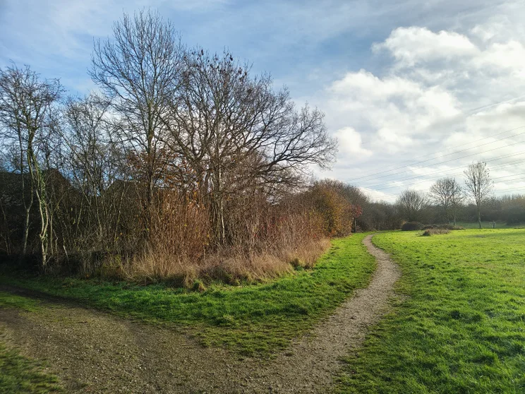 A dirt path leading alongside a meadow