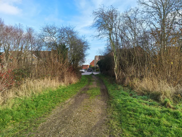 A dirt path leading between two groups of trees