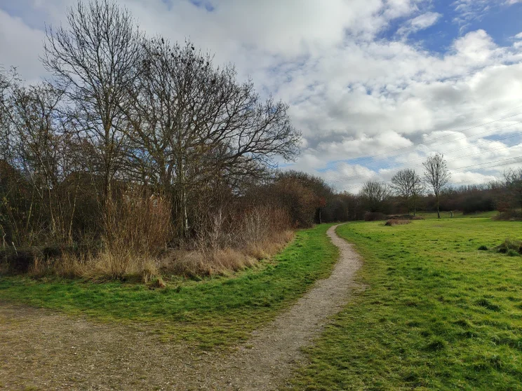 Dirt path leading alongside a meadow