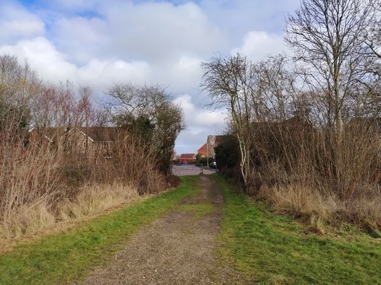 A dirt path leading between two groups of trees