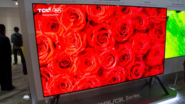 Front view of the TCL RM9L RGB Mini LED TV displaying red roses