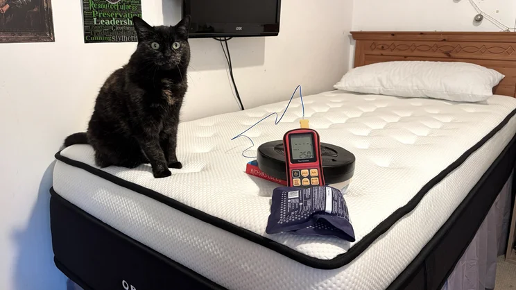 Testing temperature regulation of the Origin LumbarCloud mattress, using a heat pad, weight and thermocouple probe. A cat sits on the end of the mattress.