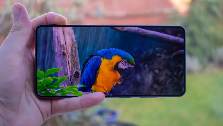 Samsung Galaxy S26 Ultra showing a wildlife video on its display